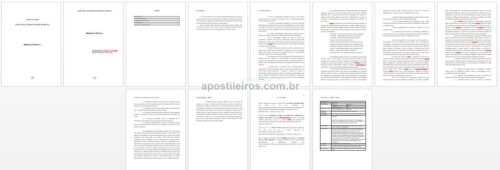 Portfólio Metodologias ativas no trabalho com brincadeiras e jogos nos Anos Iniciais do Ensino Fundamental