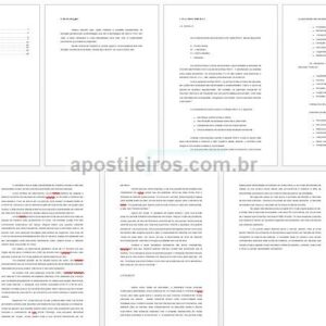 Portfólio Pandemia COVID-19 e Lockdown: estratégias e impactos do trabalho remoto para as pessoas e sociedade