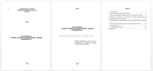 Plano de trabalho dos estágios dos cursos de licenciatura Reformulação devido à pandemia Covid-19 estágio I ensino fundamental II (História)