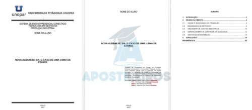 Portfólio Caso da usina de etanol Nova Albanese S/A 2021