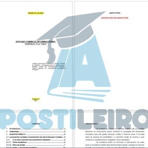 ESTÁGIO CURRICULAR OBRIGATÓRIO: “EMPRESA FAZ TUDO”