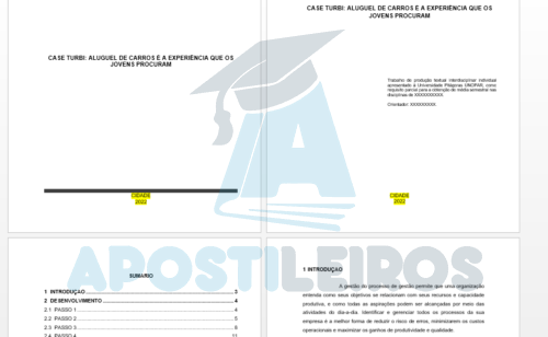 Portfolio Case Turbi: aluguel de carros é a experiência que os jovens procuram