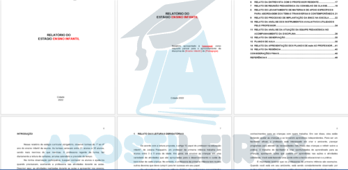 Relatório de Estágio I Educação infantil (Pedagogia) - Imagem 3